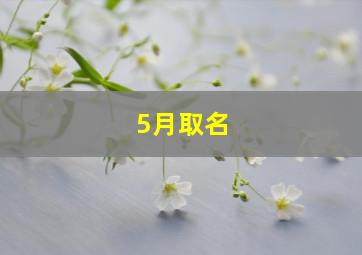 5月取名