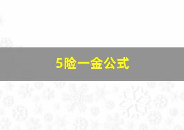 5险一金公式