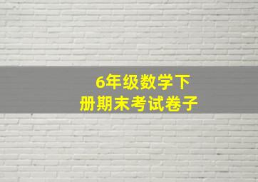 6年级数学下册期末考试卷子