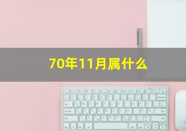 70年11月属什么