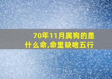 70年11月属狗的是什么命,命里缺啥五行