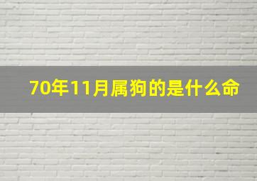 70年11月属狗的是什么命