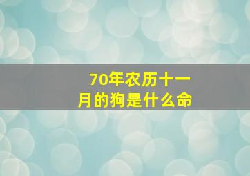 70年农历十一月的狗是什么命