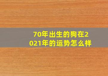 70年出生的狗在2021年的运势怎么样