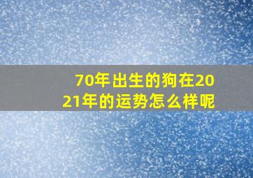 70年出生的狗在2021年的运势怎么样呢