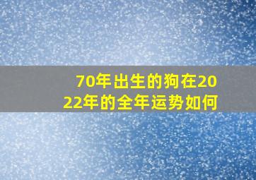 70年出生的狗在2022年的全年运势如何