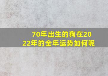 70年出生的狗在2022年的全年运势如何呢