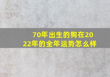 70年出生的狗在2022年的全年运势怎么样