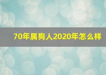 70年属狗人2020年怎么样