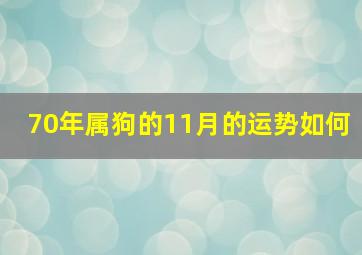 70年属狗的11月的运势如何