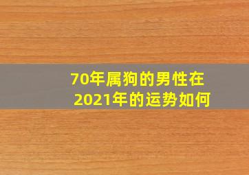 70年属狗的男性在2021年的运势如何