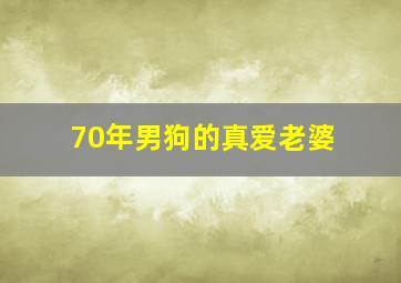 70年男狗的真爱老婆