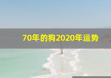 70年的狗2020年运势