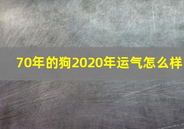 70年的狗2020年运气怎么样