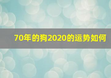 70年的狗2020的运势如何