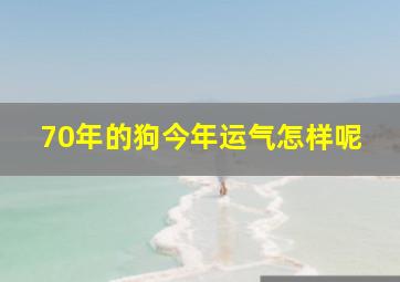 70年的狗今年运气怎样呢