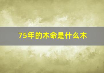 75年的木命是什么木