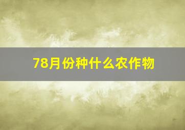 78月份种什么农作物