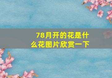 78月开的花是什么花图片欣赏一下