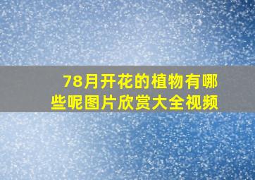 78月开花的植物有哪些呢图片欣赏大全视频