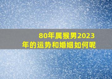 80年属猴男2023年的运势和婚姻如何呢