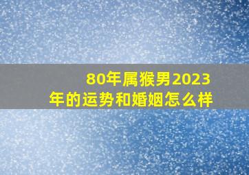 80年属猴男2023年的运势和婚姻怎么样