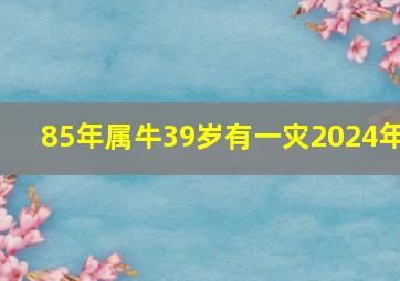 85年属牛39岁有一灾2024年