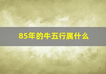 85年的牛五行属什么