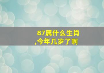 87属什么生肖,今年几岁了啊