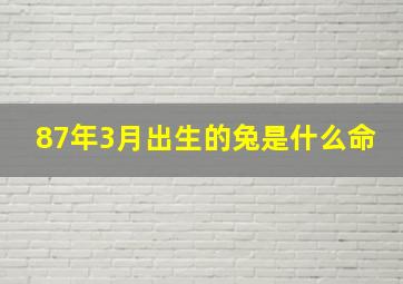 87年3月出生的兔是什么命