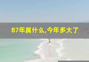 87年属什么,今年多大了