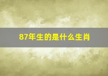 87年生的是什么生肖