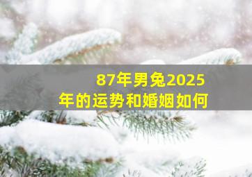 87年男兔2025年的运势和婚姻如何