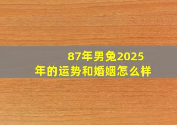 87年男兔2025年的运势和婚姻怎么样