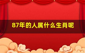 87年的人属什么生肖呢