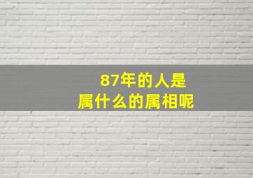 87年的人是属什么的属相呢