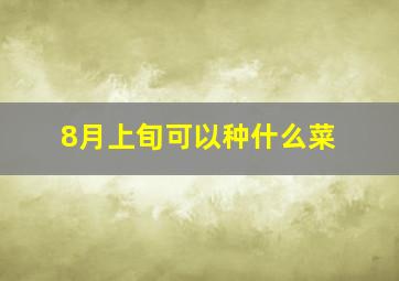 8月上旬可以种什么菜