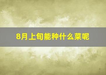 8月上旬能种什么菜呢