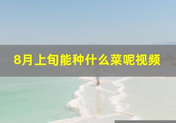 8月上旬能种什么菜呢视频