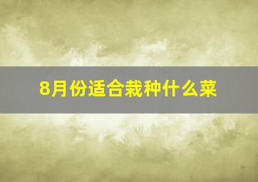 8月份适合栽种什么菜