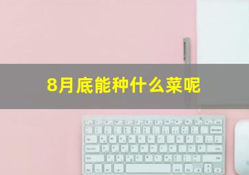 8月底能种什么菜呢