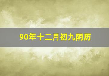 90年十二月初九阴历