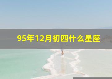 95年12月初四什么星座