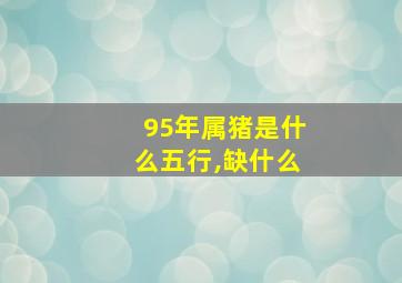 95年属猪是什么五行,缺什么