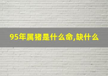 95年属猪是什么命,缺什么