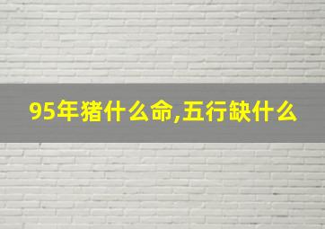 95年猪什么命,五行缺什么