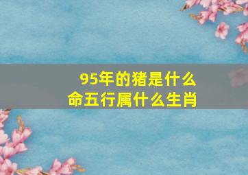 95年的猪是什么命五行属什么生肖