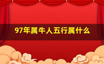 97年属牛人五行属什么