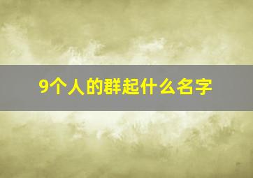 9个人的群起什么名字