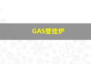 GAS壁挂炉